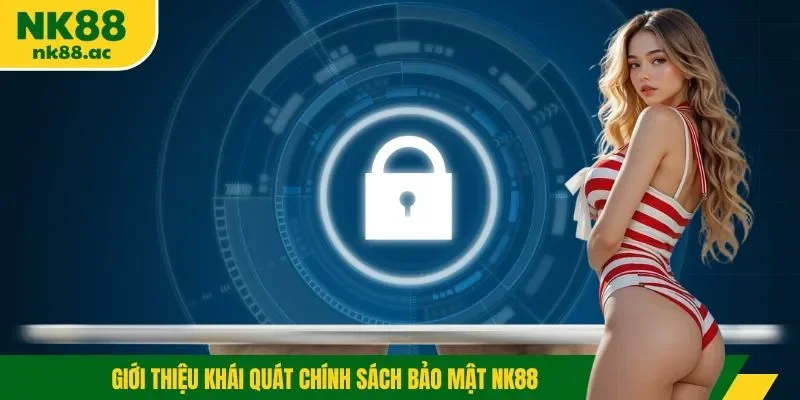 Giới thiệu khái quát chính sách bảo mật NK88